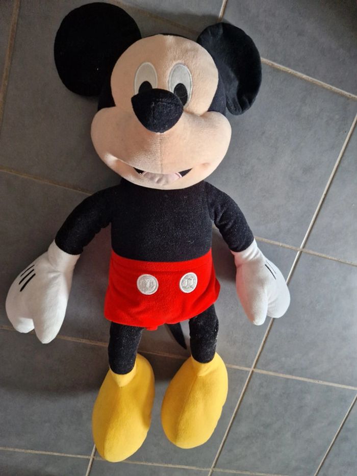 Gros mickey - photo numéro 2