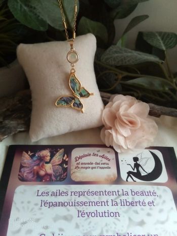 Collier papillon abalone + carte