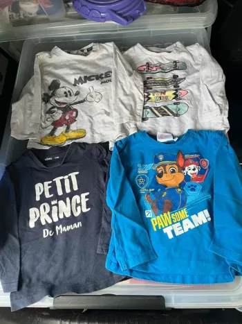 Lot de pull / t-shirt manches longues 2 ans
