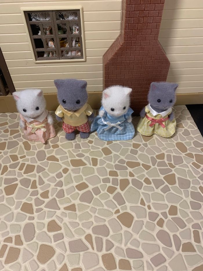 Persian cat family  5455