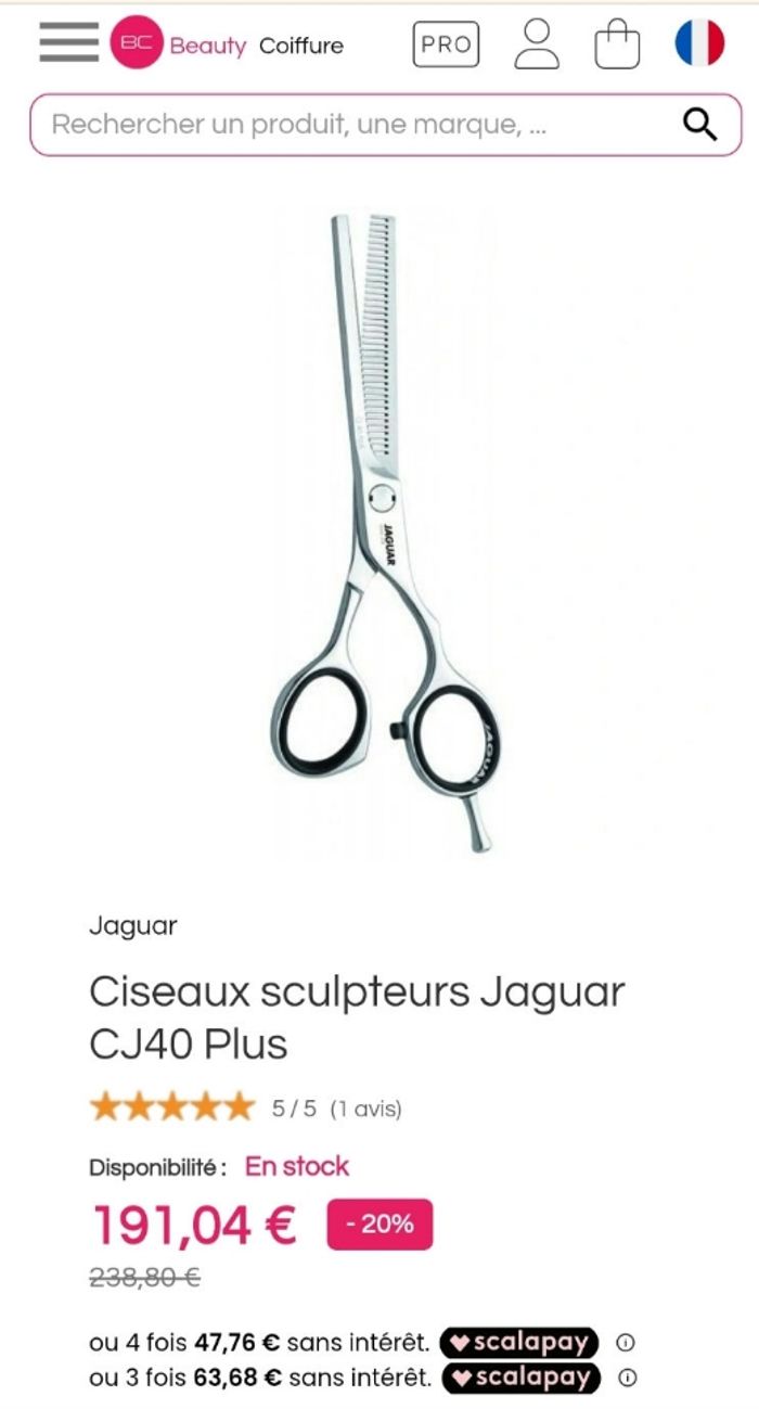 Ciseau professionnel Sculpteur - photo numéro 7