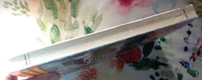 CHIEN PERDU EN ARABIE par G. MARTINEAU Ed. Cadrat - photo numéro 3