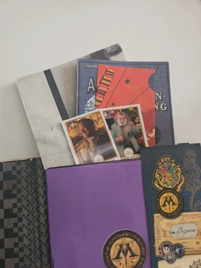 Livre Harry Potter - La magie des films - photo numéro 8