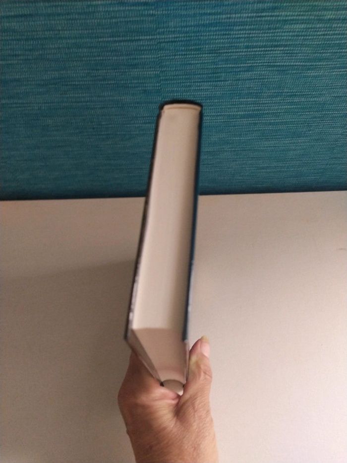 Le crépuscule des Elfes de Jean Louis Fetjaine - photo numéro 4