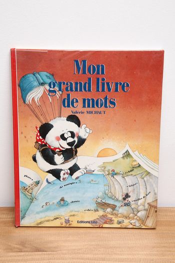 Mon grand livre de mots