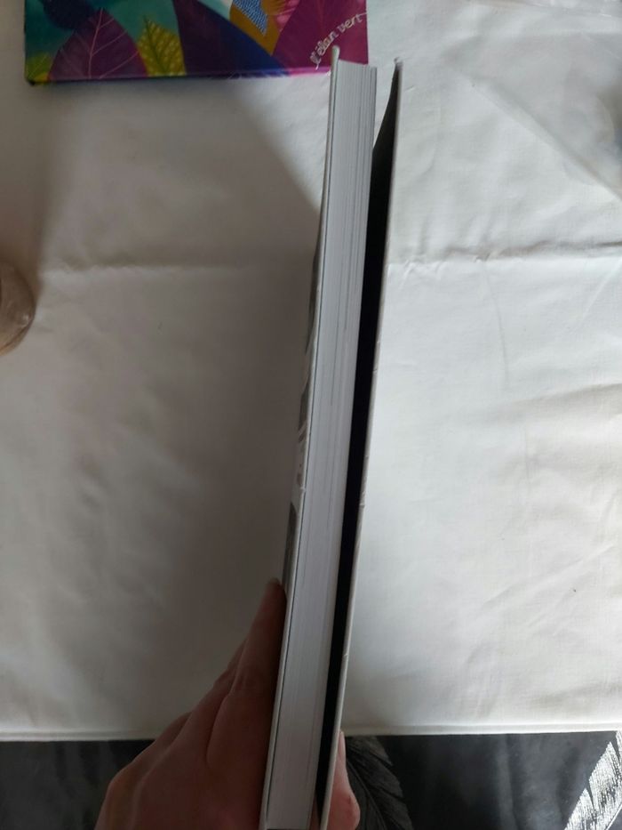 Livre Les incontournables - photo numéro 4