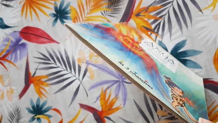 Anga fils du feu - photo numéro 7