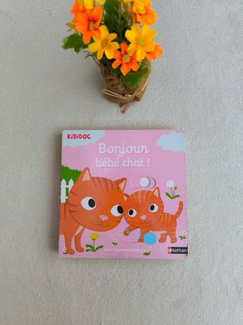 Livre Kididoc Bonjour, bébé chat Nathan