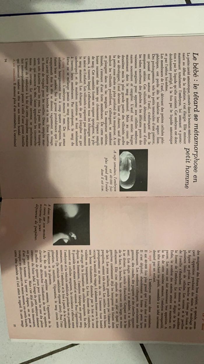 Livre en attendant bébé - photo numéro 11