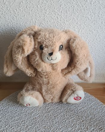 Ours en peluche - Coucou, je me cache - NEUF