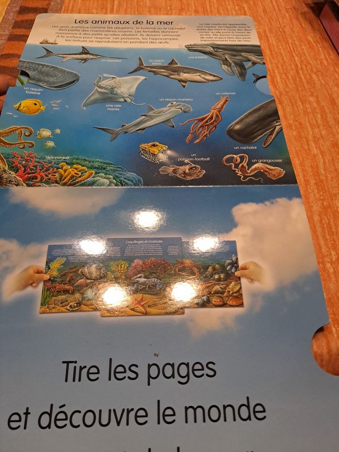 L’imagerie découverte la mer - photo numéro 2