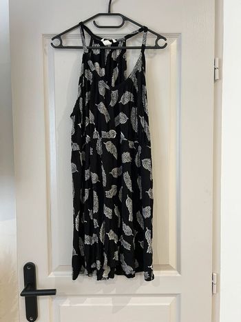 Robe plumes