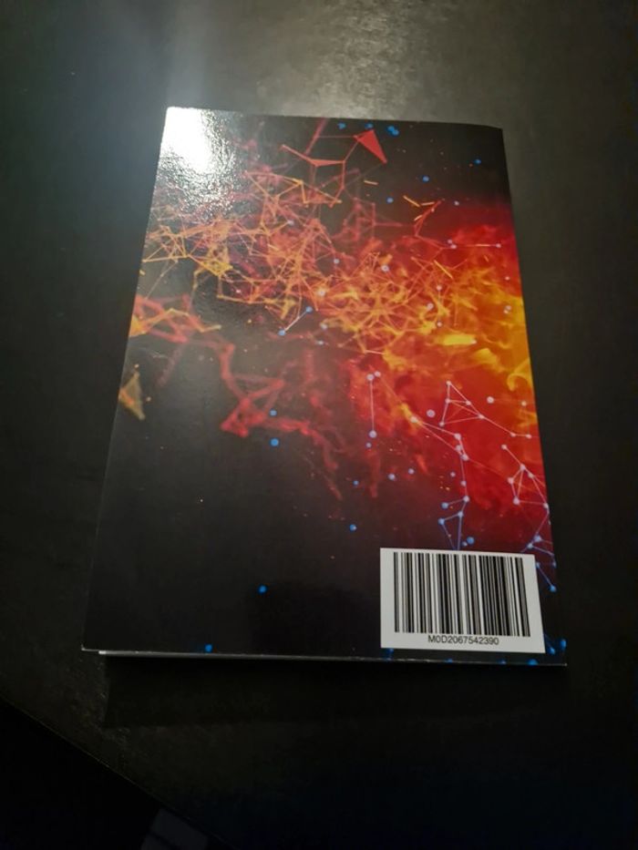 Cahier de texte foot - photo numéro 4