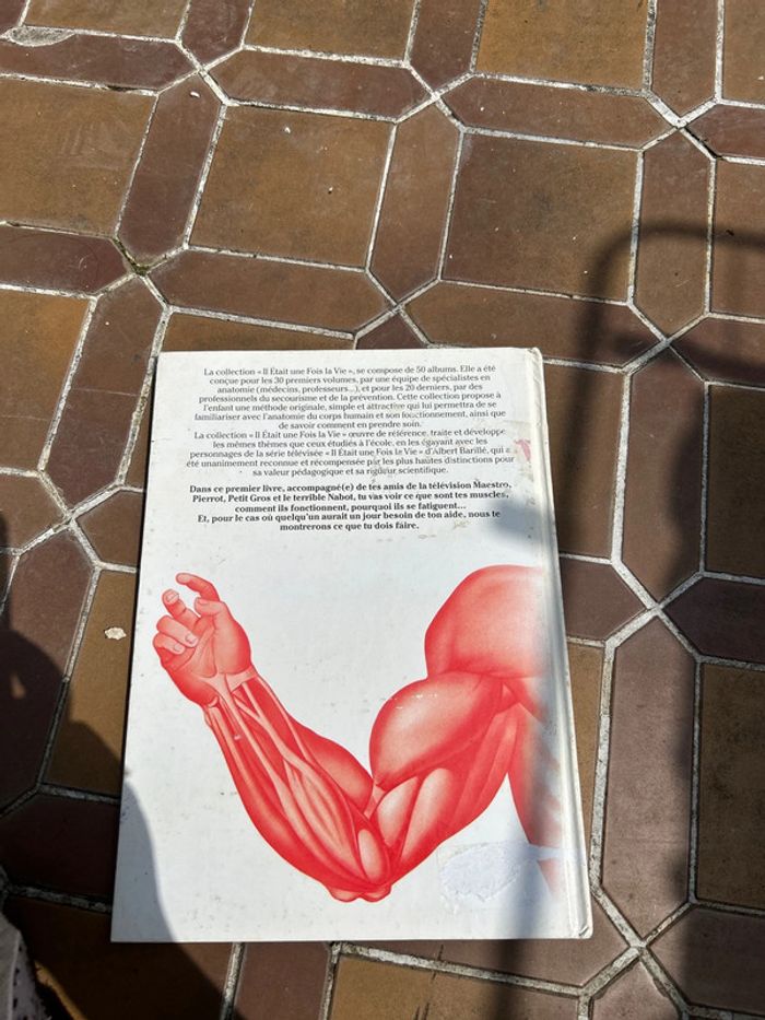 Livre il était une fois la vie les muscles - photo numéro 2