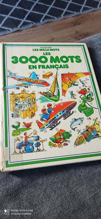 Livre les 3000 mots en français