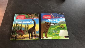 Questions réponses la terre les dinosaures