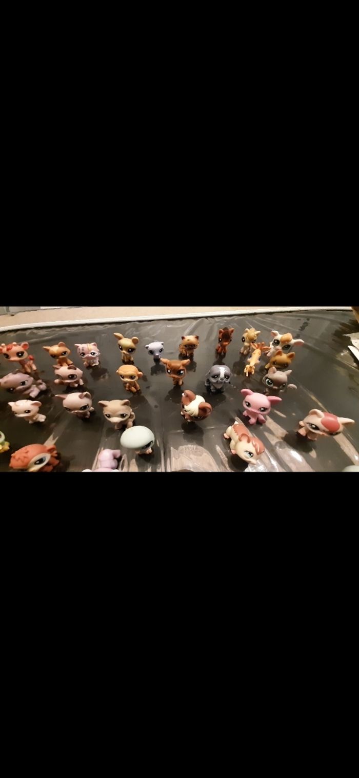 Lot Petshops - photo numéro 5