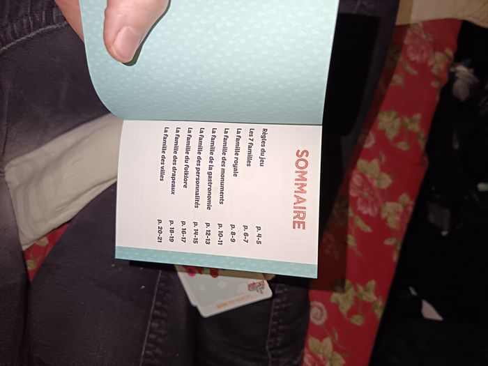 Jeu de 7 familles special Belgique - photo numéro 8