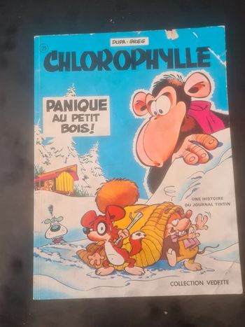 Chlorophylle panique au petit bois !