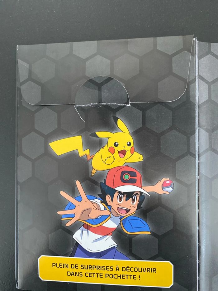 Livre Pokemon - photo numéro 10