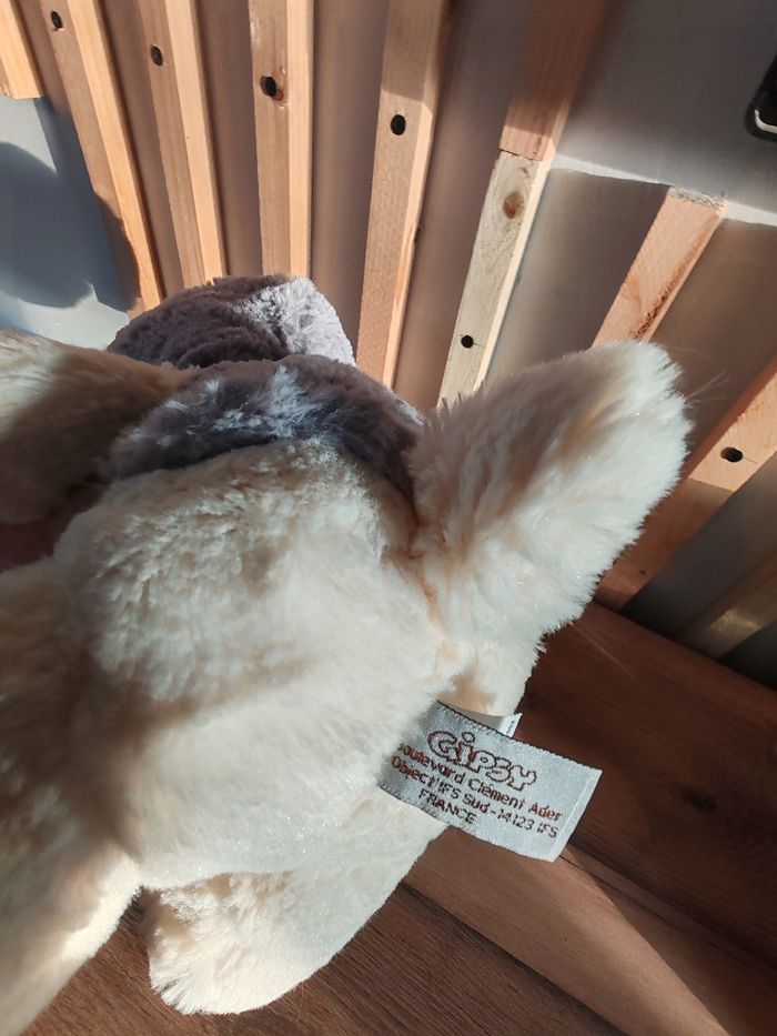 Chien gipsy beige pull gris capuche - photo numéro 3