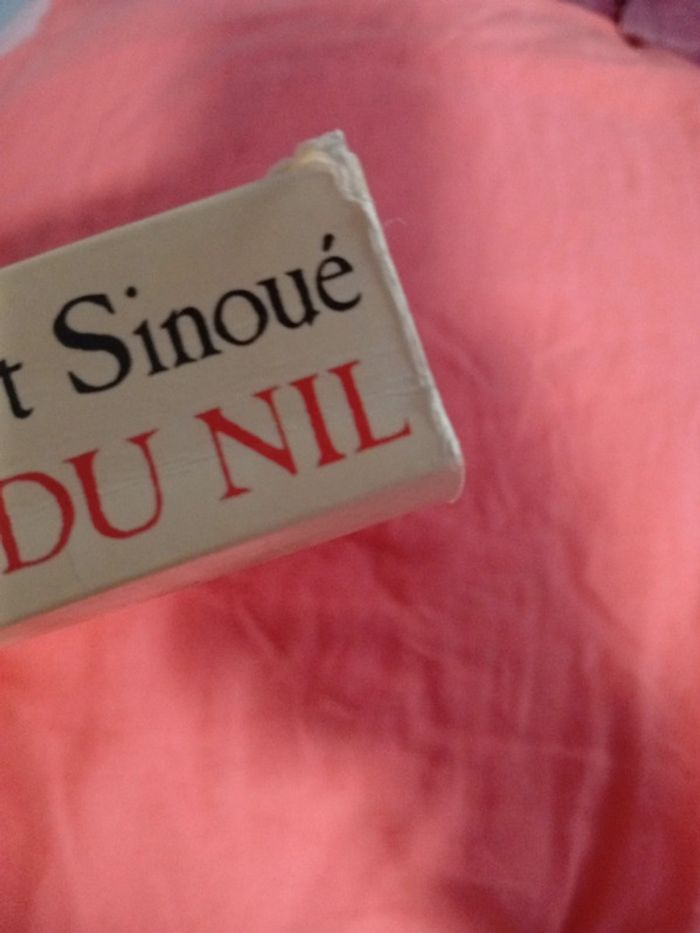 Livre la fille du Nil - photo numéro 2