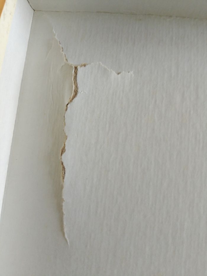 ILIAD international team complet - photo numéro 4