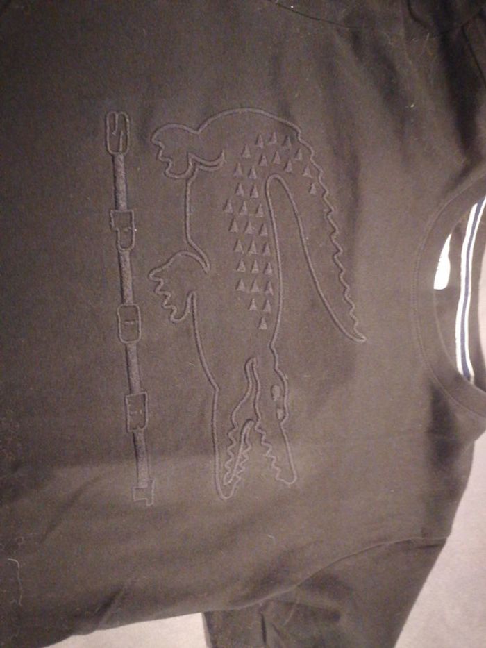 Tee shirt - photo numéro 2