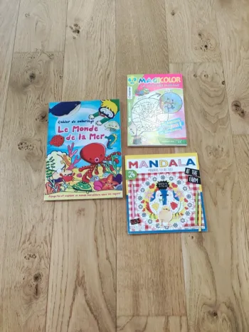 Lot 3 livres de coloriage - très bon état