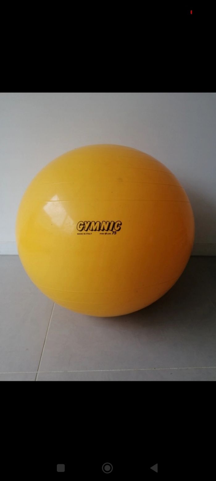 Ballon gymnic, gymnastique,grossesse - photo numéro 2