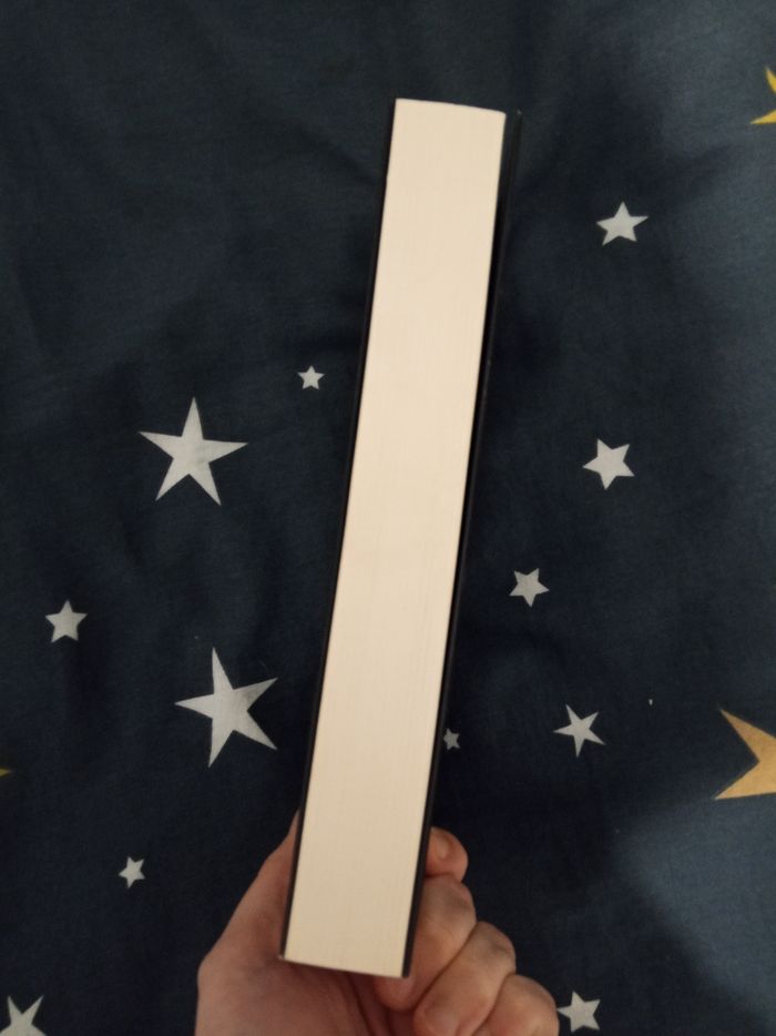 Livre (147) 📚 Les âmes grises - photo numéro 4