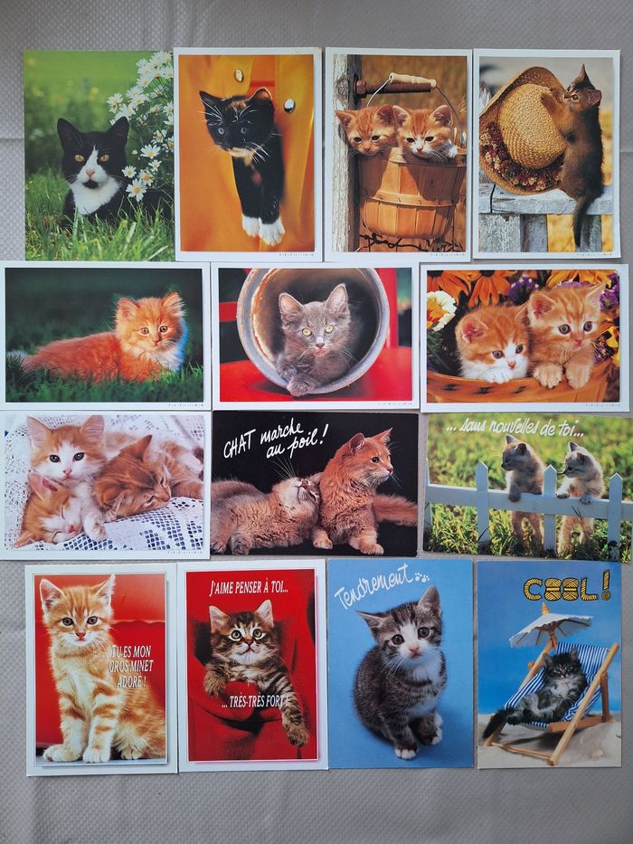 Lot de 66 cartes postales thème chats - photo numéro 2