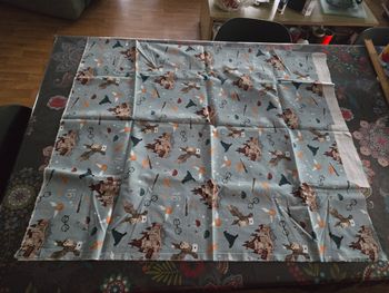 Panneau couture harry Potter bleu clair