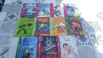 Lot de 11 livres bibliothèques rose et verte