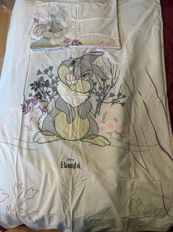 Parure lit 1pers Disney (Panpan/Marie)