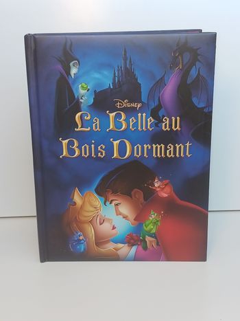 Grand livre Disney princesse La belle au bois dormant