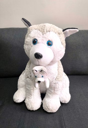 Peluche husky 