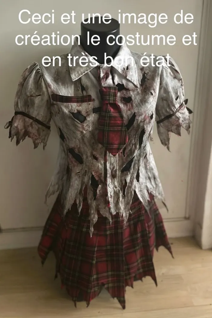 Costume écossaise Halloween arrive 📸 - photo numéro 2