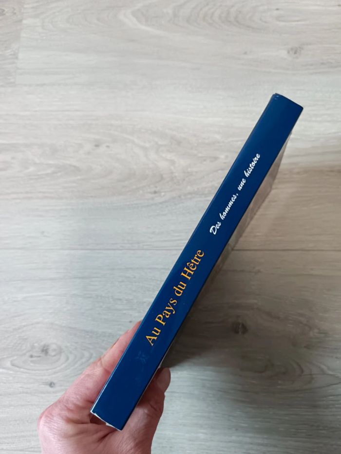 Au pays du hêtre Des hommes, une histoire - D'Illizfaou à Illifaut Vincent Le Maire - photo numéro 3