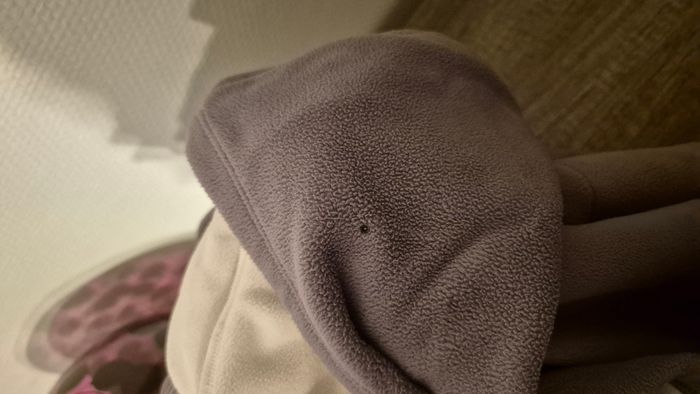Veste domyos - photo numéro 4