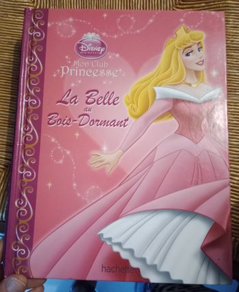 la  belle au bois dormant