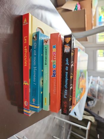Lot de 6 livres diverse enfant