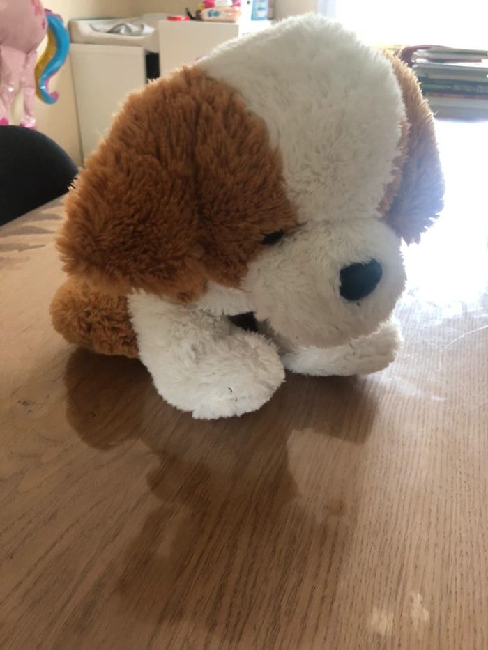 Doudou chien