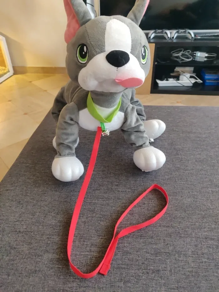 Chien Toufous