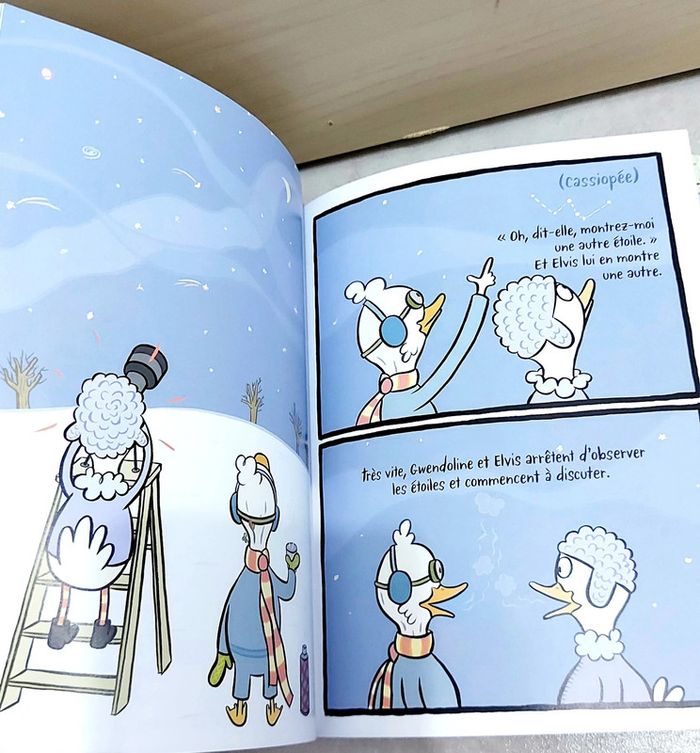 🌺 Livre (école des loisirs) : Des canards trop bizarres - photo numéro 4