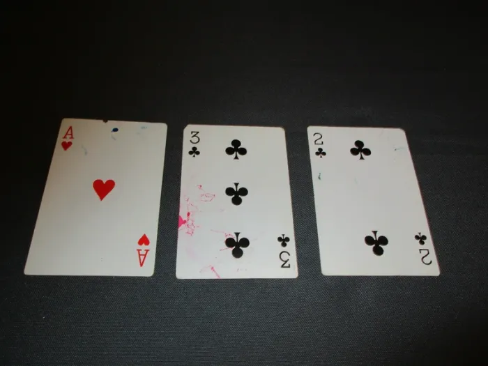 8 objets 1 titi géant+5 peluches+1 mug et 54 cartes - photo numéro 7