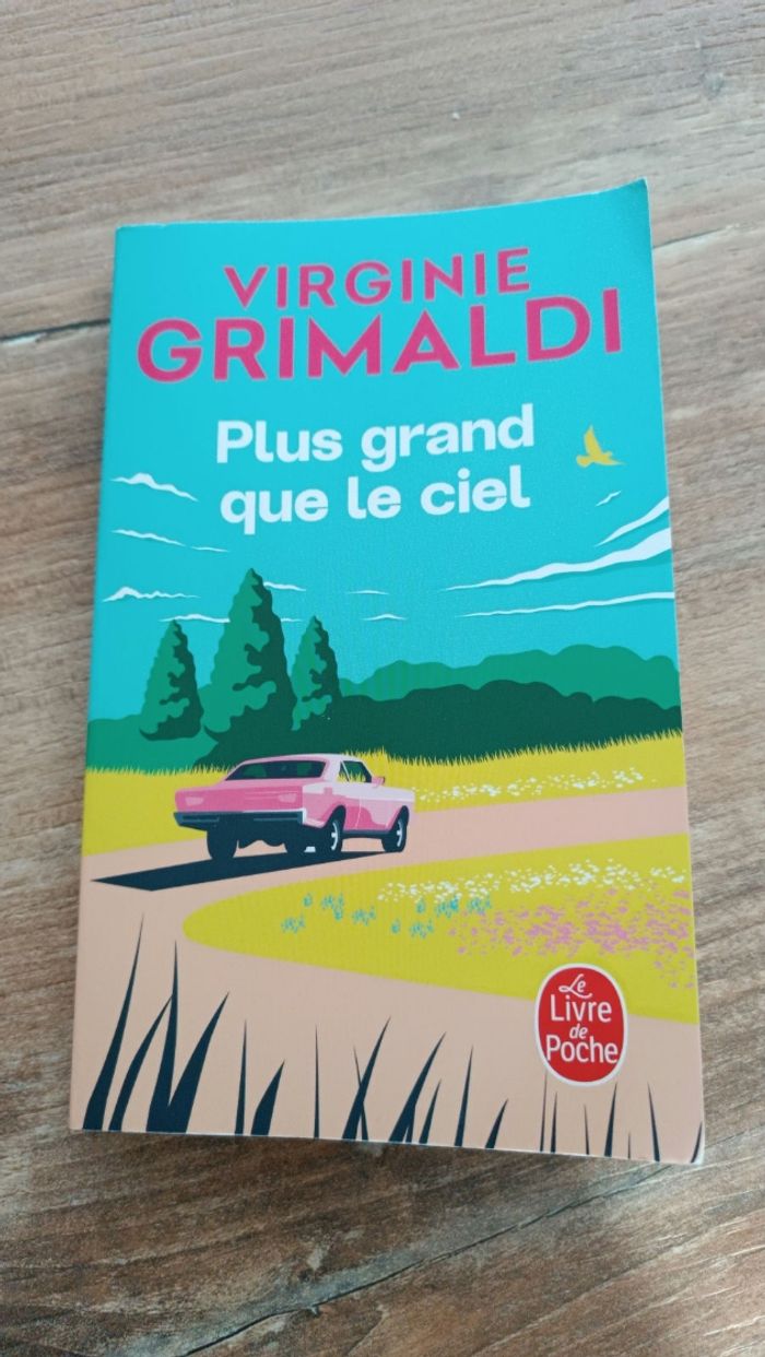 Livre Plus grand que le ciel