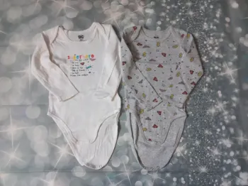 lot 2 Bodies