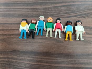 Lot playmobil classic