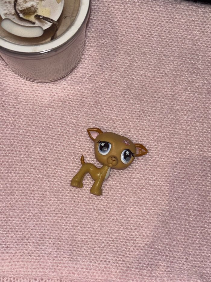 greyhound #498 - photo numéro 4